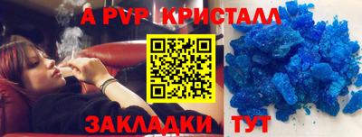 амф Новодвинск