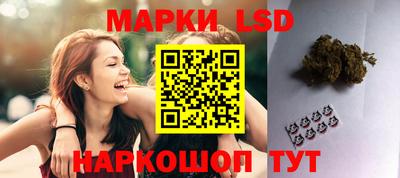 амф Новодвинск