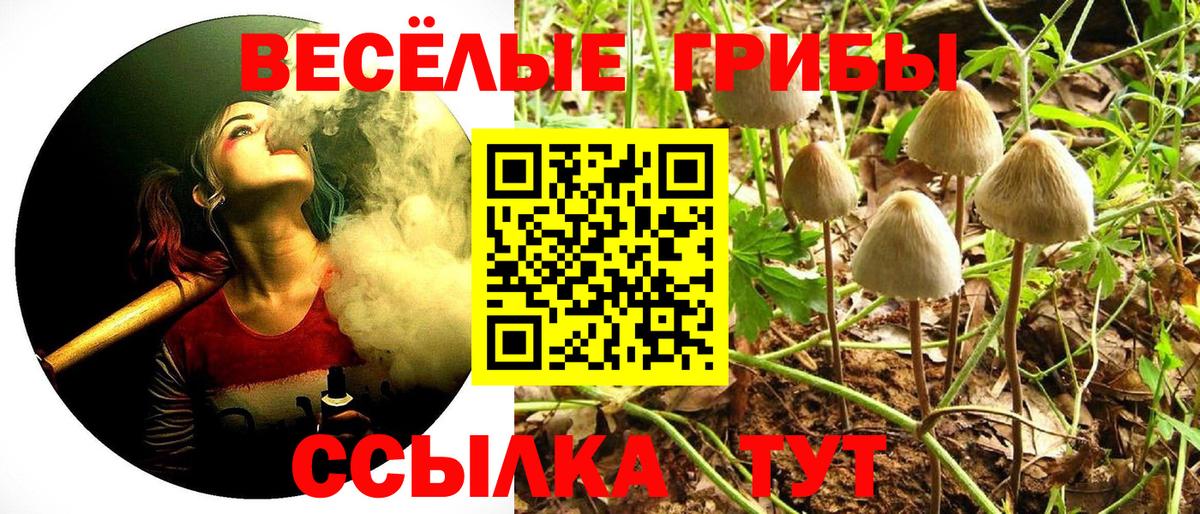 Псилоцибиновые грибы Magic Shrooms Курск